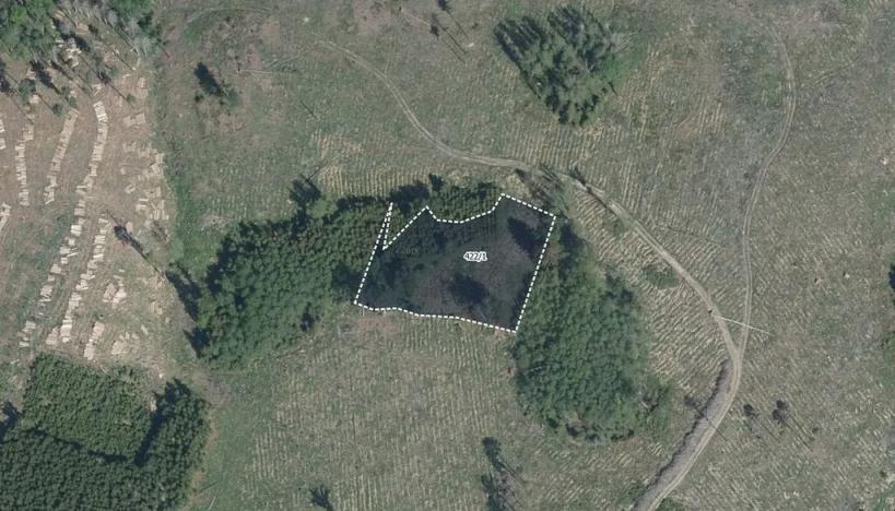 Prodej pole, Hořice, 19979 m2