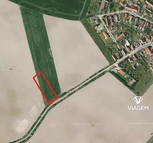 Prodej podílu pole, Běrunice, 1961 m2