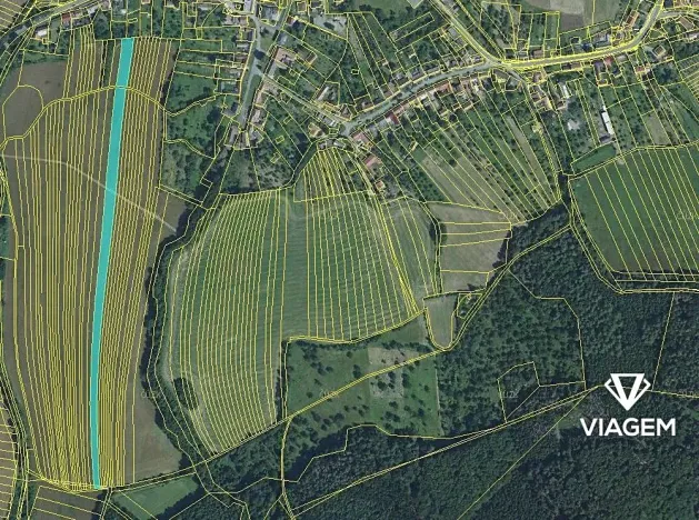 Prodej podílu pole, Cetechovice, 4266 m2