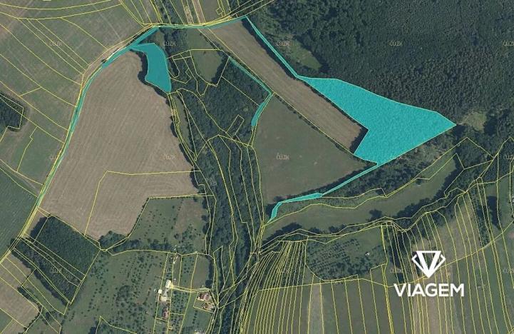 Prodej podílu lesa, Luhačovice, 4849 m2