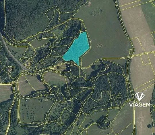 Prodej podílu lesa, Brumov-Bylnice, 1301 m2