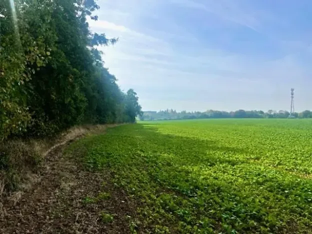 Prodej pole, Praha - Liboc, Na Padesátníku I, 24066 m2