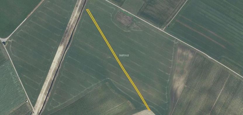 Prodej pole, Mutěnice, 5978 m2