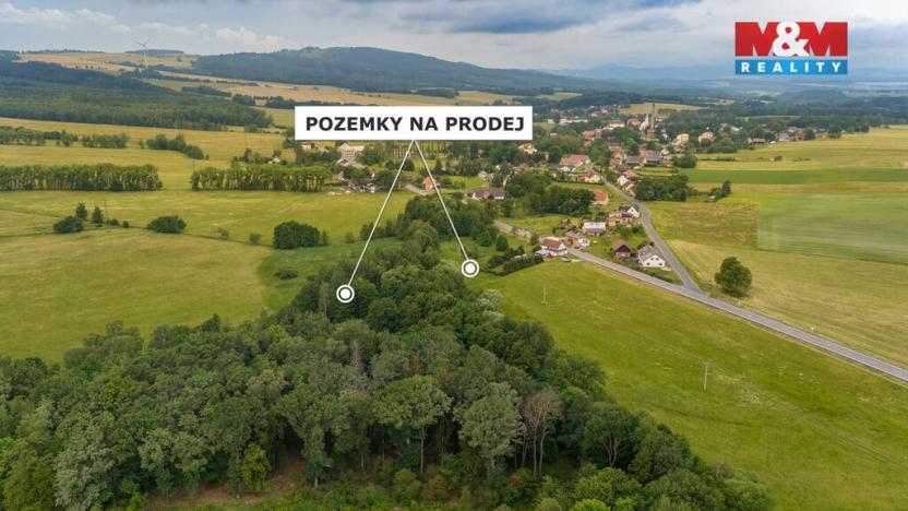 Prodej louky, Dětřichov, 4178 m2