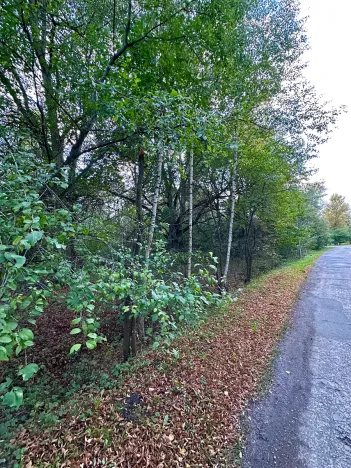 Prodej pozemku pro bydlení, Luštěnice, 9368 m2