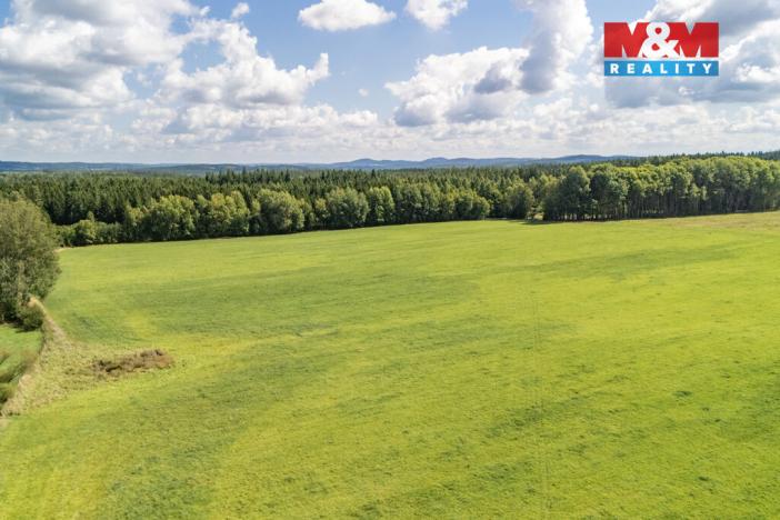 Prodej pole, Přimda - Mlýnec, 238031 m2