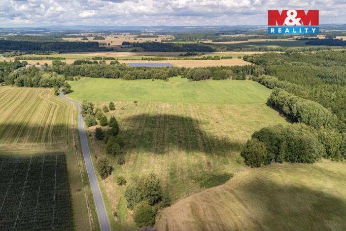 Prodej pole, Přimda - Mlýnec, 238031 m2