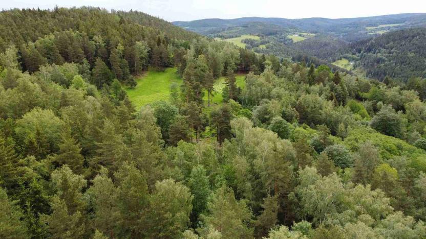 Prodej pozemku, Rejštejn, 1798 m2