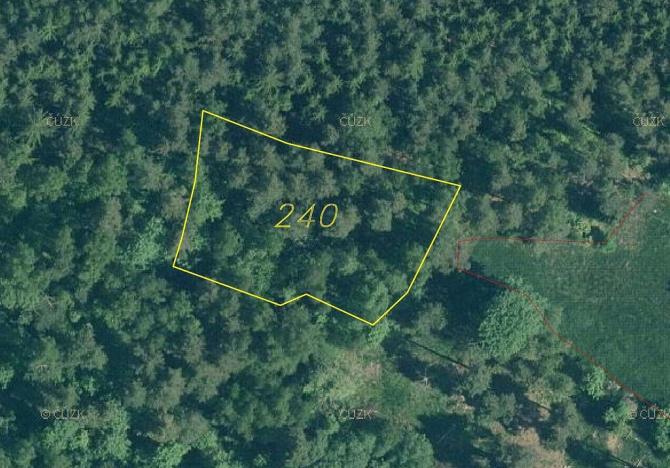 Prodej pozemku, Rejštejn, 1798 m2