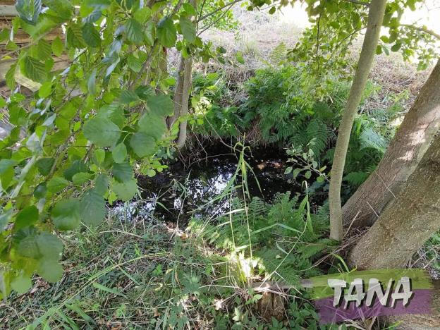 Prodej pozemku pro bydlení, Koberovy, 9985 m2