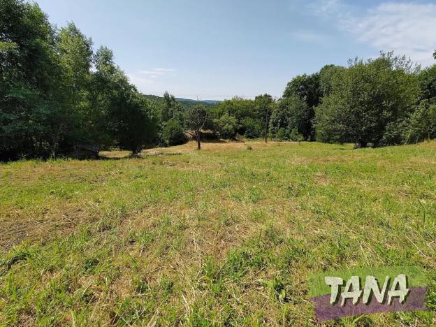 Prodej pozemku pro bydlení, Koberovy, 9985 m2