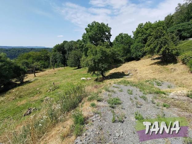 Prodej pozemku pro bydlení, Koberovy, 9985 m2