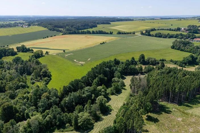 Prodej pozemku pro bydlení, Choustník, 114846 m2