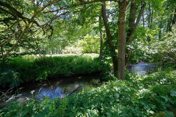 Prodej pozemku pro bydlení, Choustník, 114846 m2