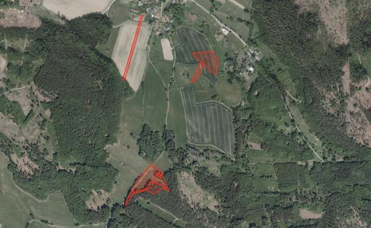 Prodej pole, Světlá nad Sázavou, 19817 m2