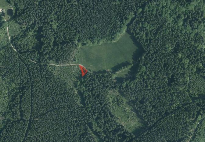 Prodej pole, Holubov, 3785 m2