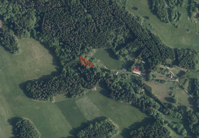 Prodej podílu louky, Plavy, 9401 m2