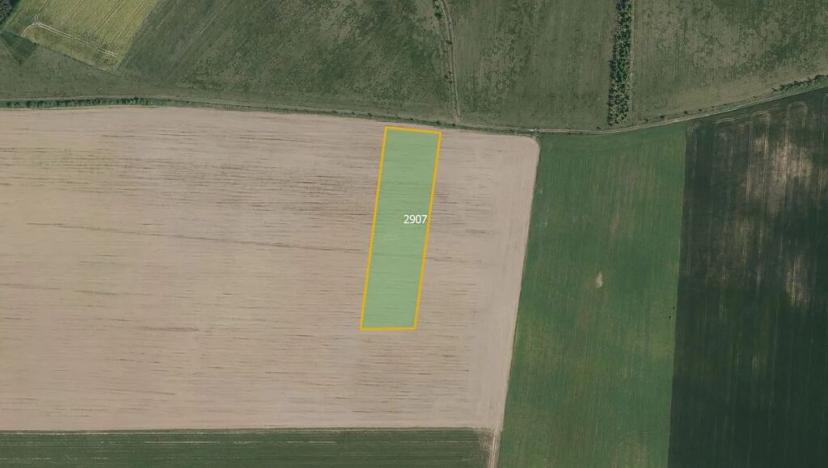 Prodej pole, Ronov nad Doubravou, 10959 m2