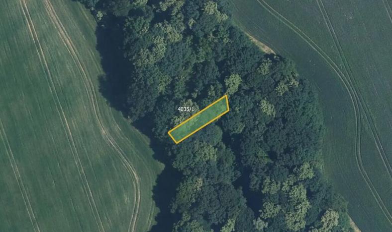 Prodej louky, Popovice, 5635 m2