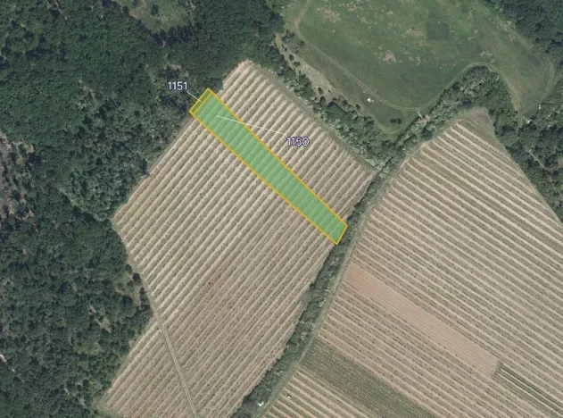 Prodej pole, Nový Šaldorf-Sedlešovice, 23720 m2