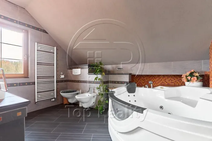 Prodej rodinného domu, Ostrov, 210 m2