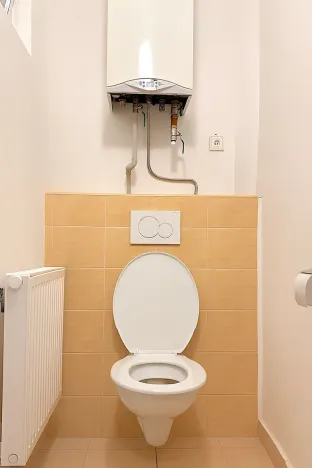 Pronájem bytu 1+1, Brno, Havlišova, 50 m2