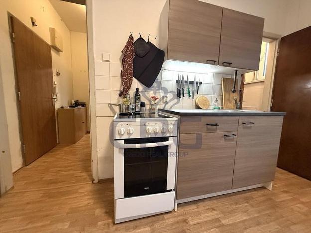 Pronájem bytu 1+1, Brno - Staré Brno, Nové sady, 48 m2