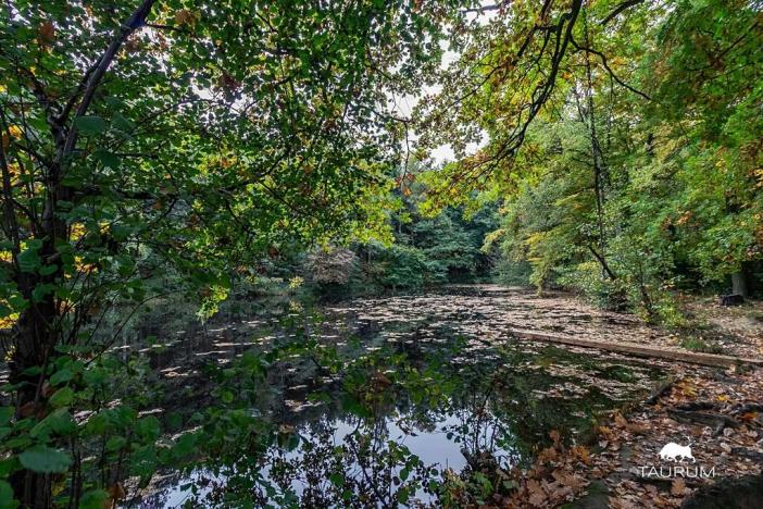 Prodej chaty, Velký Chlumec, 35 m2