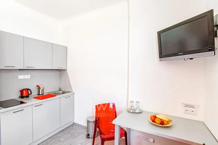 Pronájem bytu 1+kk, Praha - Nusle, Na Jezerce, 18 m2