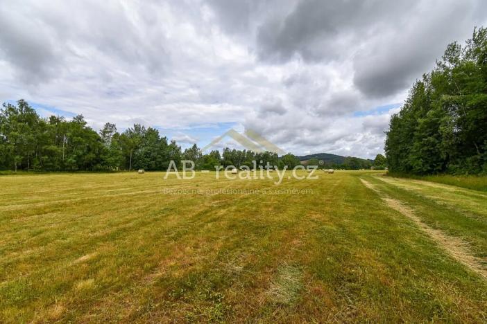 Prodej louky, Úštěk, 131865 m2