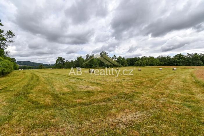 Prodej louky, Úštěk, 131865 m2