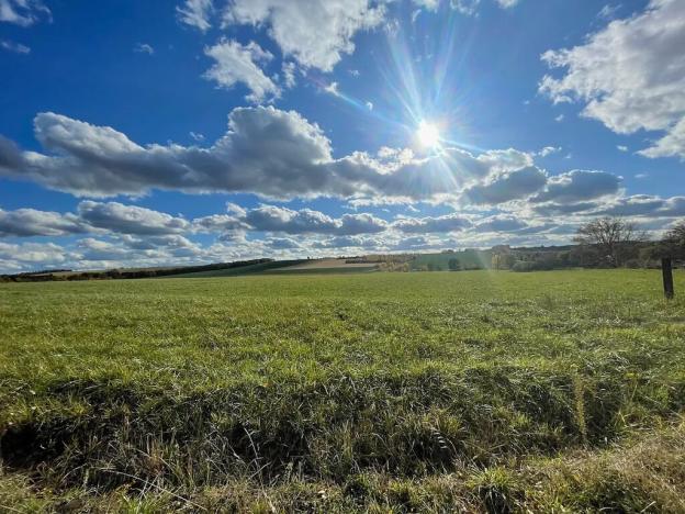 Prodej chalupy, Vinaře, 88 m2