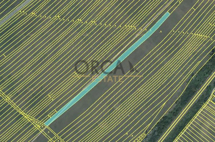 Prodej pole, Moravská Nová Ves, 3258 m2