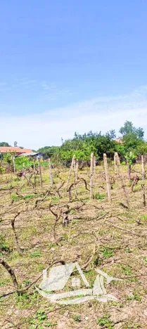 Prodej rodinného domu, Mogilishte, Bulharsko, 170 m2