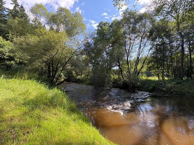 Prodej rodinného domu, Bujanov, 480 m2