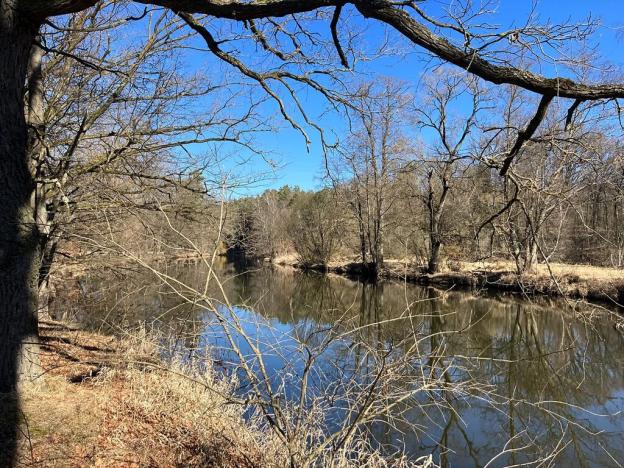 Prodej zemědělské usedlosti, Stráž nad Nežárkou, Šimanov, 2139 m2