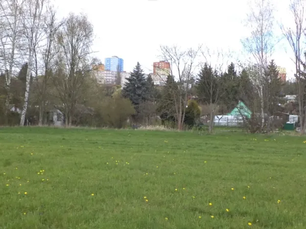 Dražba louky, Tachov, 23048 m2