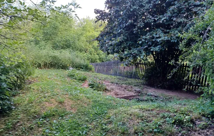 Dražba pozemku, Dubá, 15626 m2