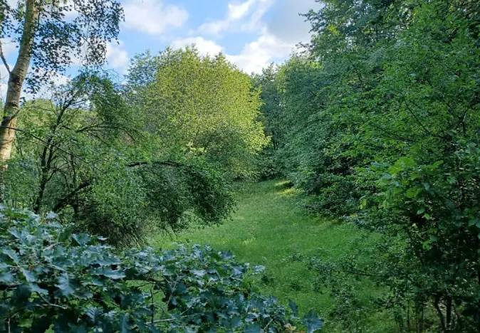 Dražba pozemku, Dubá, 15626 m2