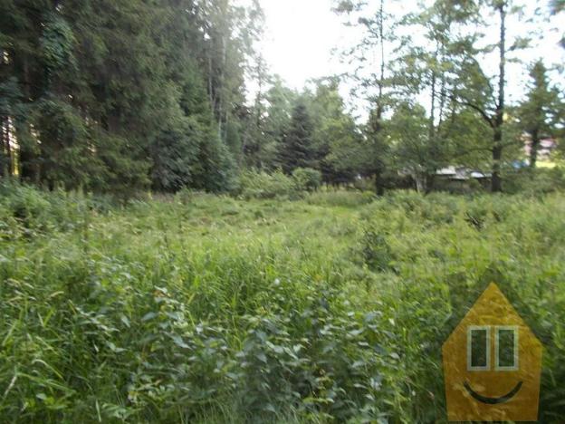 Prodej louky, Velký Šenov, 3266 m2