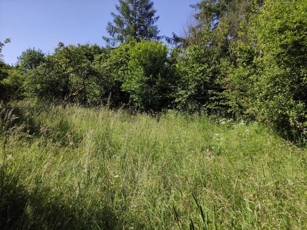 Prodej zahrady, Černovice - Panské Mlýny, 4180 m2