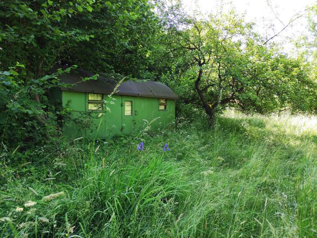 Prodej zahrady, Černovice - Panské Mlýny, 4180 m2