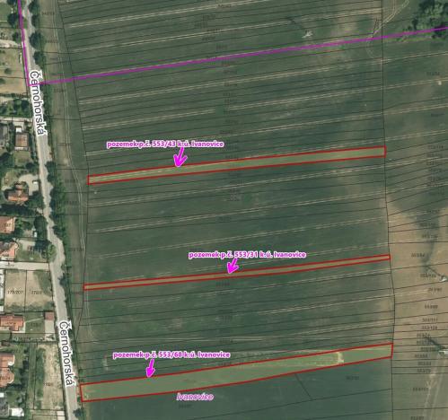 Dražba pole, Brno, 8031 m2