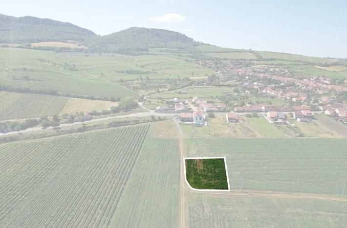 Prodej pole, Horní Věstonice, 1179 m2