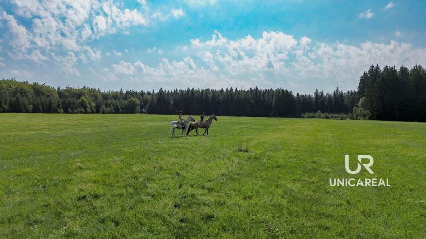 Prodej rodinného domu, Kamenná Horka, 273 m2