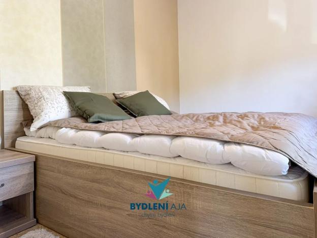 Prodej vily, Roprachtice, 373 m2