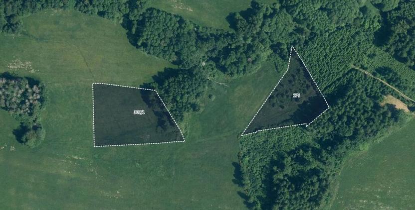 Prodej pole, Plánice, 13624 m2