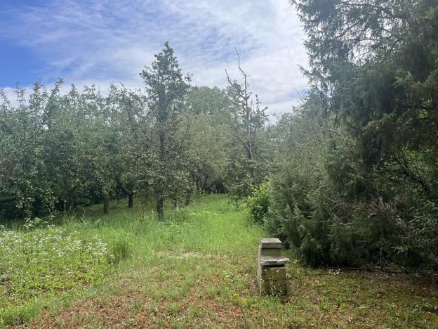 Pronájem sadu/vinice, Praha - Točná, Ke starému hřišti, 3842 m2