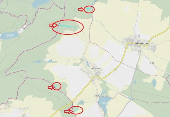 Prodej lesa, Mladošovice, 12064 m2