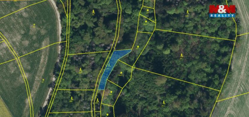 Prodej lesa, Řepníky, 562 m2